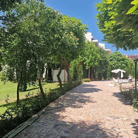 Noks Daire Sunny Beach